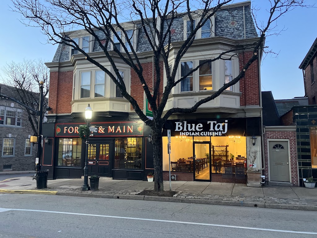 Blue Taj | restaurant | 35 E Butler Ave, Ambler, PA 19002, USA | 6107457171 OR +1 610-745-7171