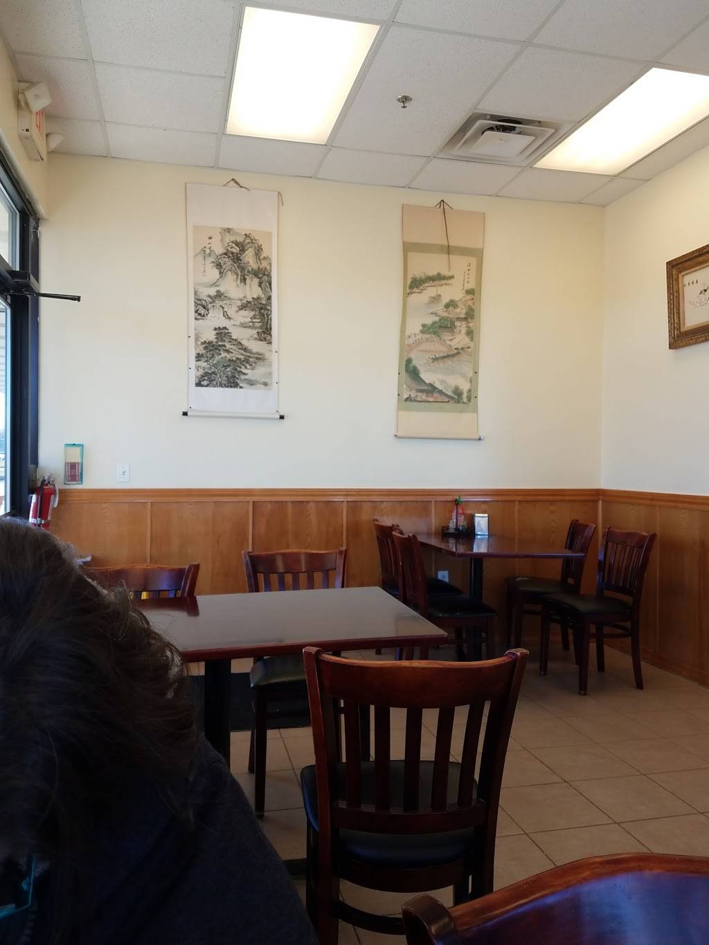 Dragon City | restaurant | 98 E Geneva Square, Lake Geneva, WI 53147, USA | 2622498867 OR +1 262-249-8867