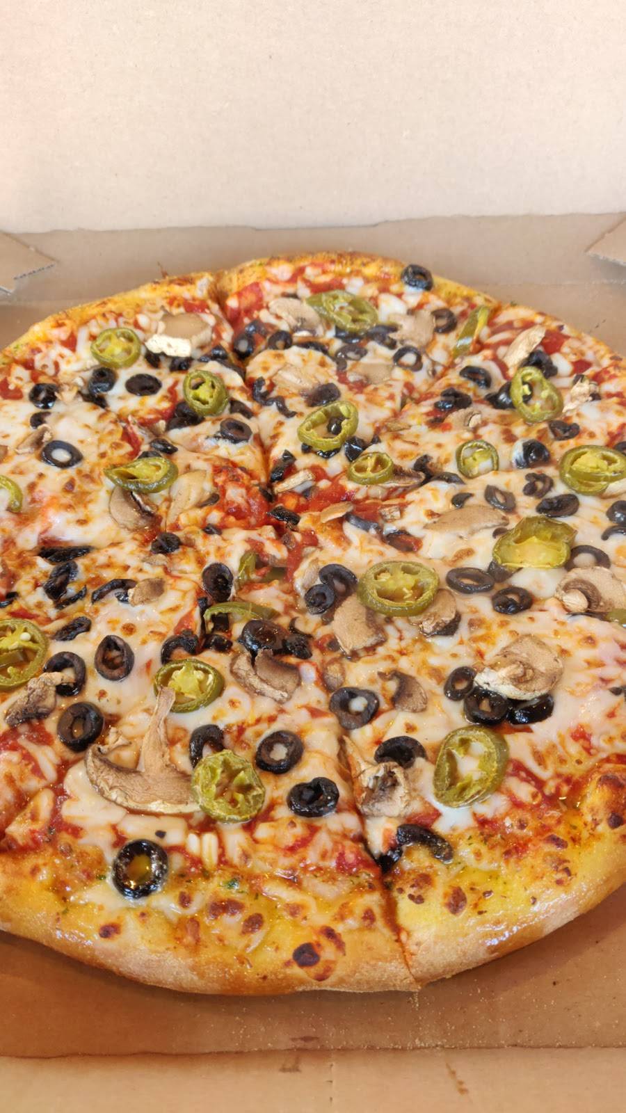 Dominos Pizza | meal delivery | 4910 Washtenaw Ave, Ann Arbor, MI 48108, USA | 7345281111 OR +1 734-528-1111