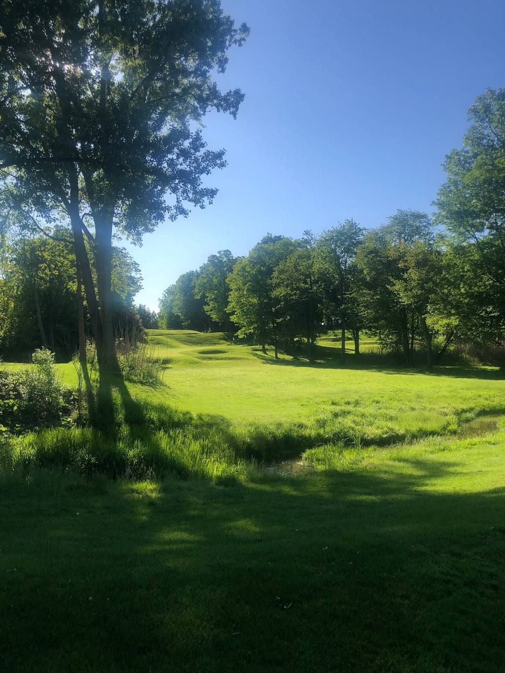 Pine Trace Golf Club 3600 Pine Trace Blvd, Rochester Hills, MI 48309, USA