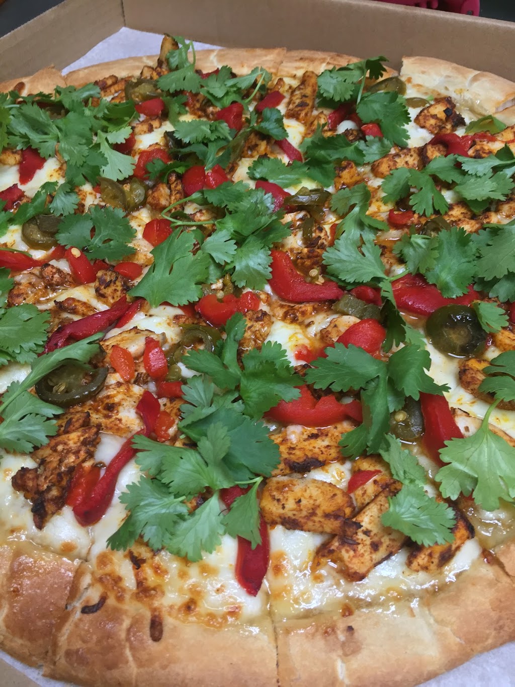 Bluebird Pizza - Roseburg | meal takeaway | 1612 NW Keasey St, Roseburg, OR 97471, USA | 5412296433 OR +1 541-229-6433