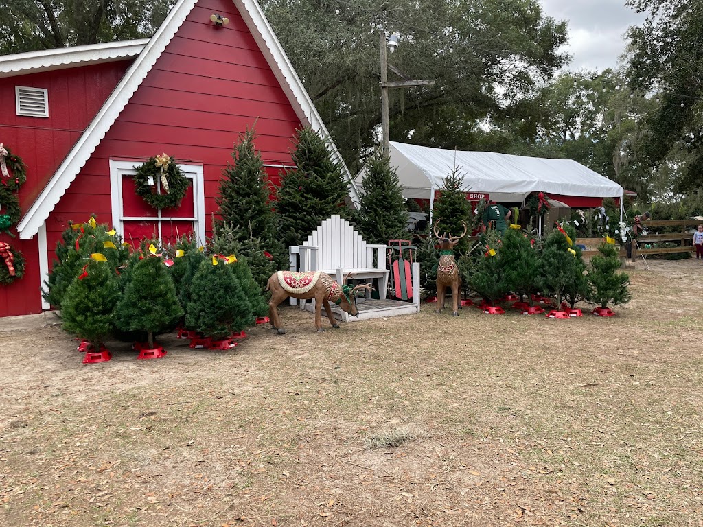 Santa’s Farm - Reservations Required | 35317 Huff Rd, Eustis, FL 32736, USA