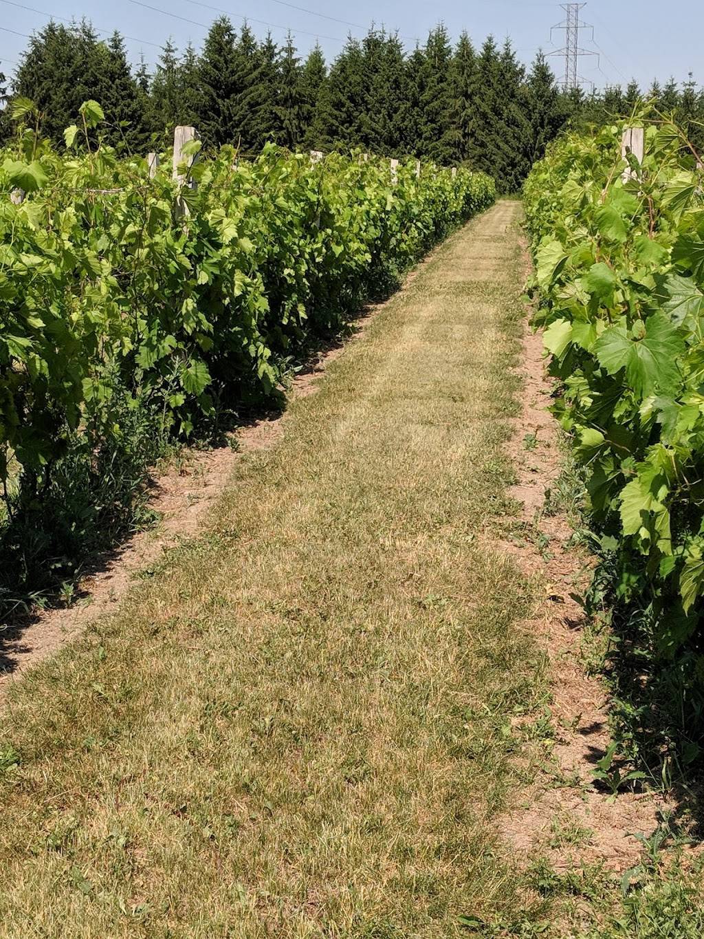 Domaine & Vins Gélinas | restaurant | 267, rang de Saint-François, Saint-Sévère, QC G0X 3B0, Canada | 8192645511 OR +1 819-264-5511