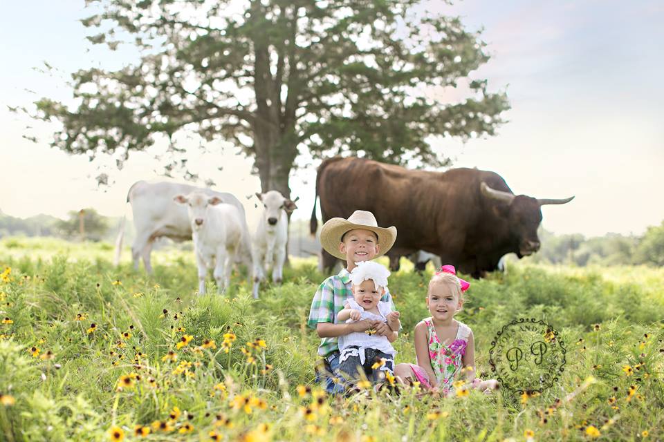 SoulFull Family Farm & Market | restaurant | 2901 County Rd 381, Cleveland, TX 77328, USA | 6198226080 OR +1 619-822-6080