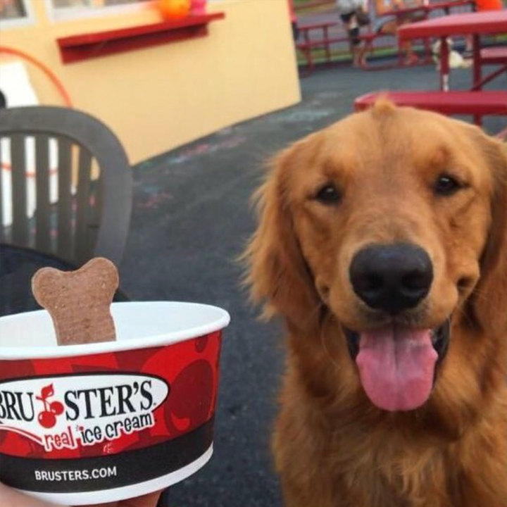 Brusters Real Ice Cream | bakery | 1520 Brownsville Rd, Trevose, PA 19053, USA | 2153550315 OR +1 215-355-0315