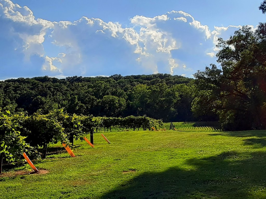 Wild Pickins Winery | restaurant | 14223 IL-111, Chesterfield, IL 62630, USA | 6187533833 OR +1 618-753-3833