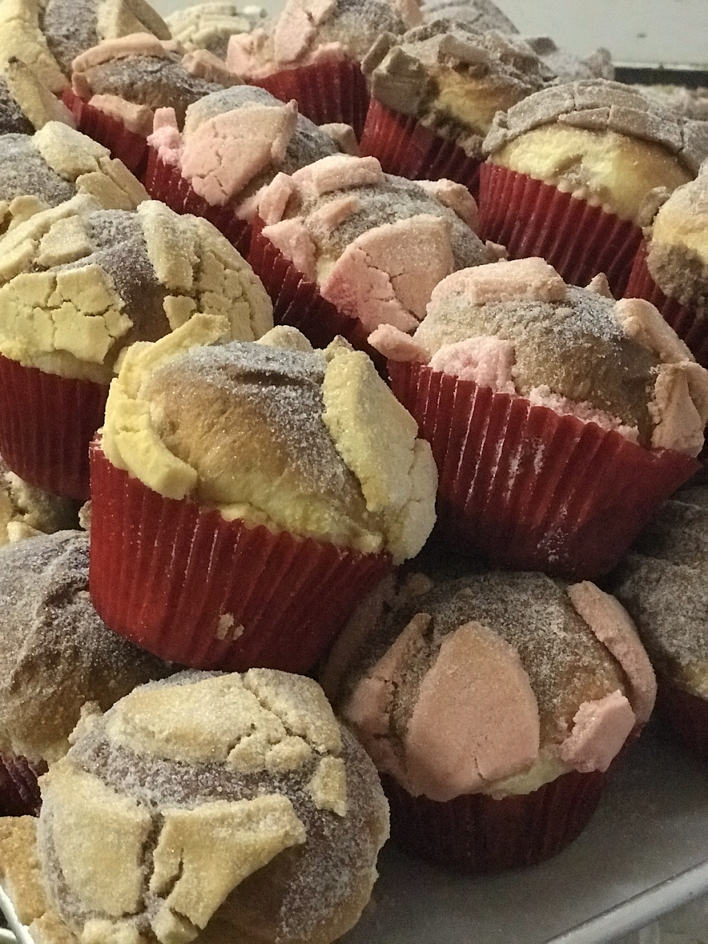 Garcia Plaza Bakery | bakery | 2 S Pine St, Fellsmere, FL 32948, USA | 7725718880 OR +1 772-571-8880