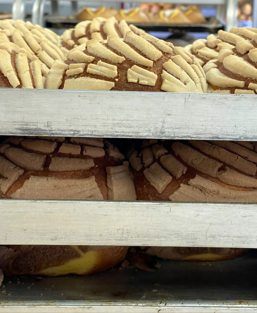 Panaderia Nuevo León ( Nuevo León Bakery ) | bakery | 323 N Beckham Ave, Tyler, TX 75702, USA | 9035939292 OR +1 903-593-9292