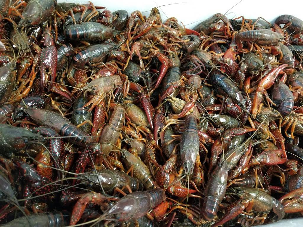 Ocean Seafood Market & Restaurant 2150 Fowler St 110, Fort Myers, FL