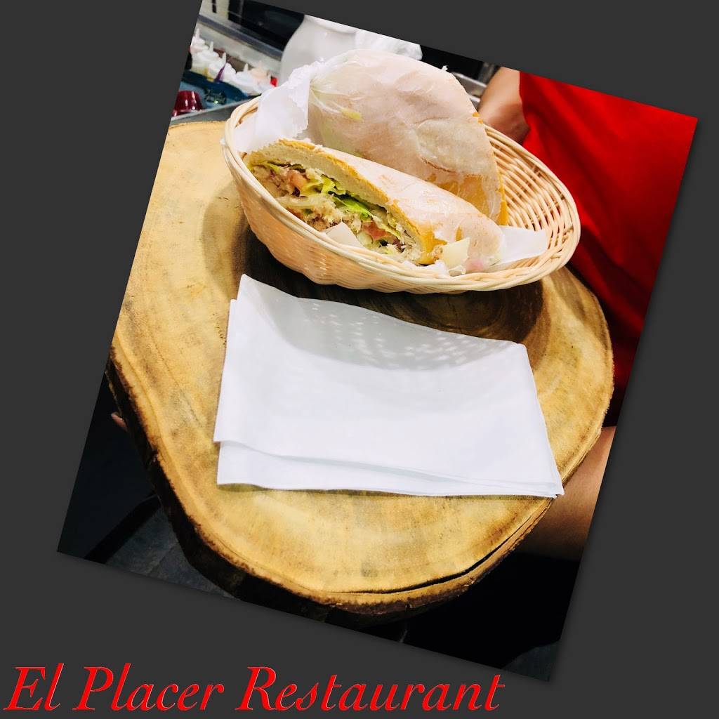 El Placer | restaurant | 572 E 169th St, Bronx, NY 10456, USA | 7184103636 OR +1 718-410-3636