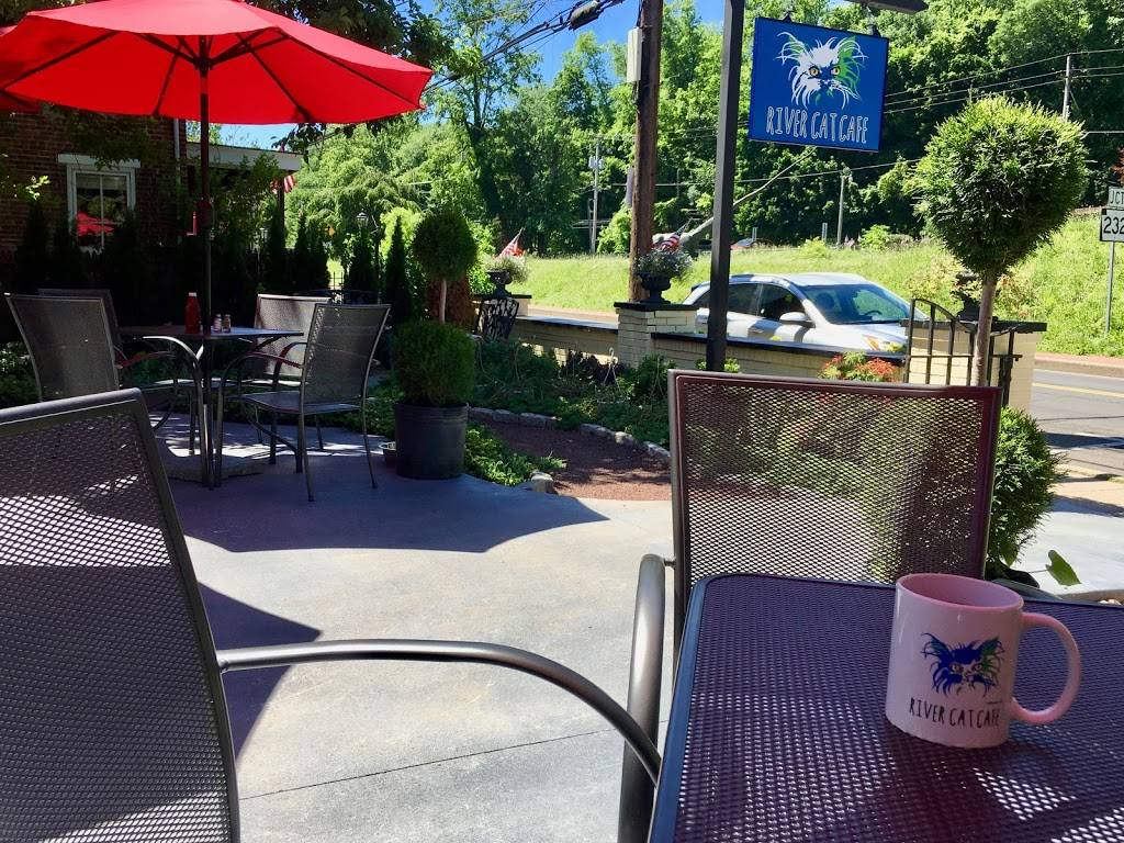 River Cat Cafe | cafe | 142 S Main St, New Hope, PA 18938, USA | 2156931008 OR +1 215-693-1008
