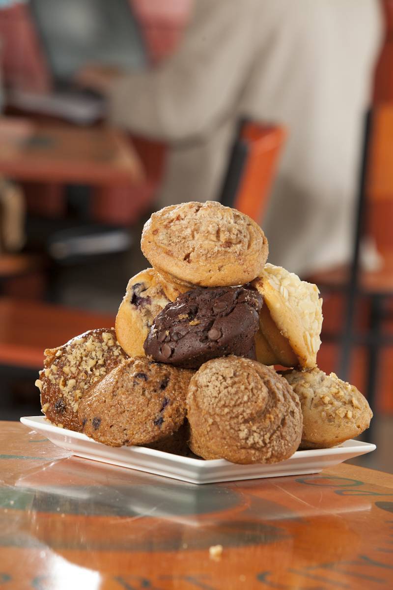Port City Java | cafe | 102 Marine Blvd, Jacksonville, NC 28540, USA | 9105454120 OR +1 910-545-4120