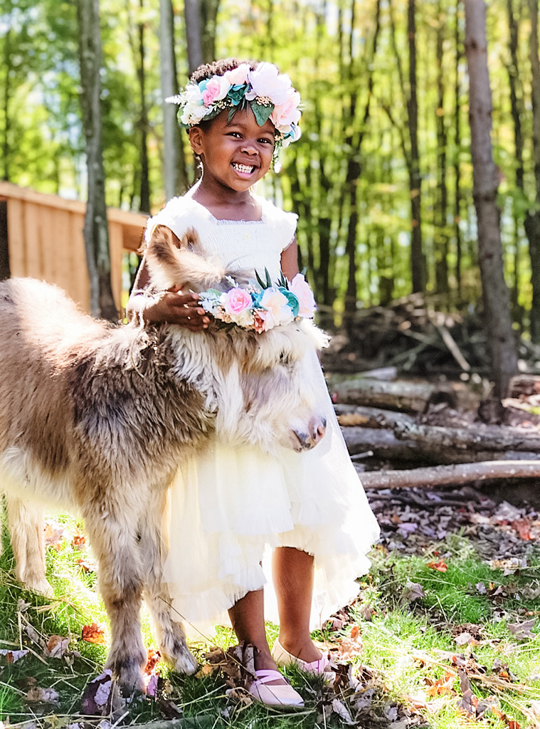SoulFull Family Farm & Market | restaurant | 2901 County Rd 381, Cleveland, TX 77328, USA | 6198226080 OR +1 619-822-6080