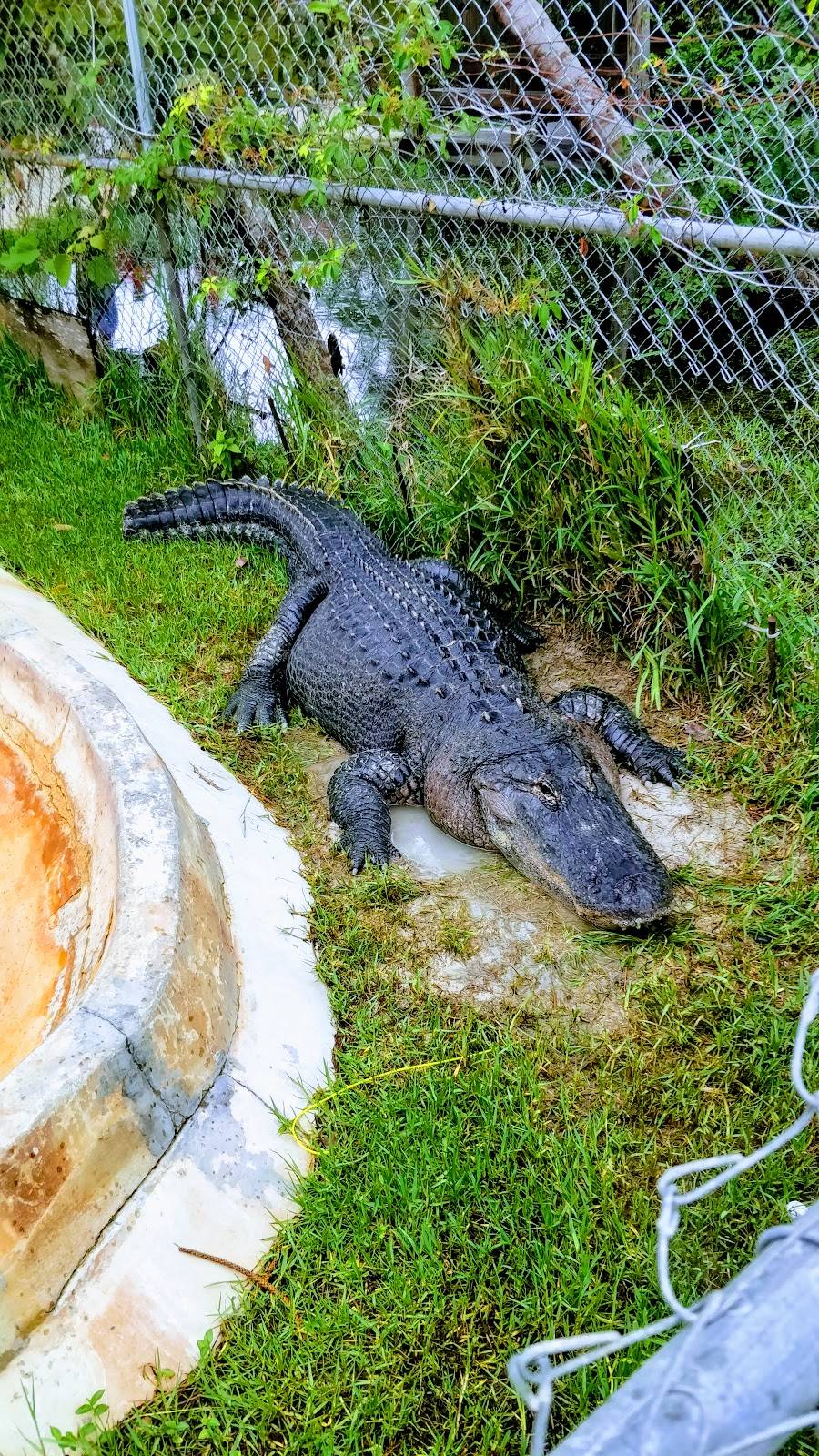 coopertown everglades airboat tour & restaurant